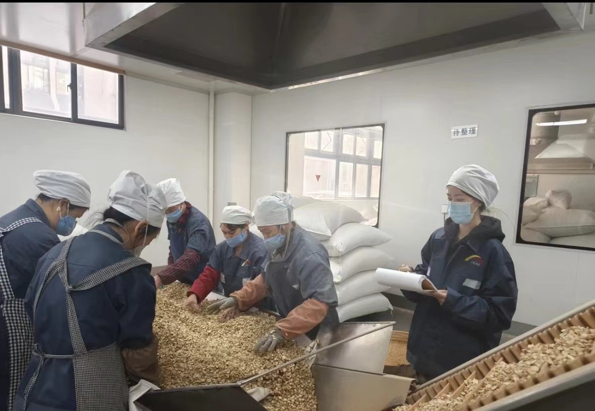 Qingdao Biohoer Biotech Co., Ltd. офіційно розпочало будівництво