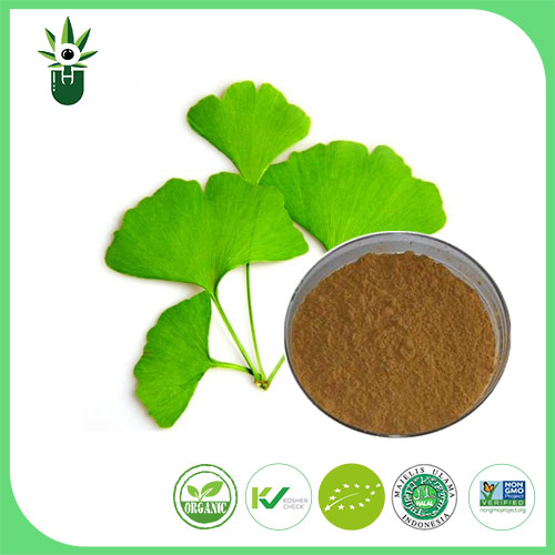 Які симптоми можна використовувати екстракт листя Ginkgo Biloba для полегшення?