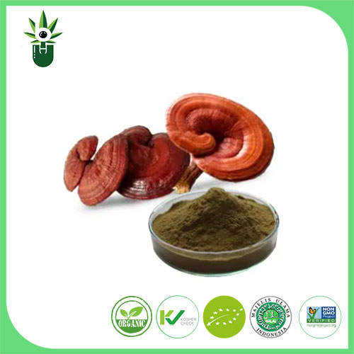 Екстракт Ganoderma Lucidum