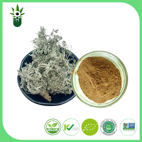 Екстракт Artemisia Capillaris Thunb